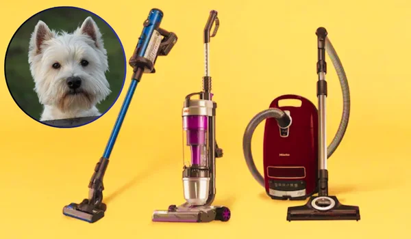 Vacuum Cleaner for Pet Hair