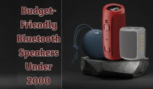 Budget-Friendly Bluetooth Speakers Under 2000