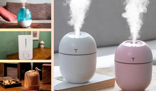Budget Humidifiers for Dry Winters